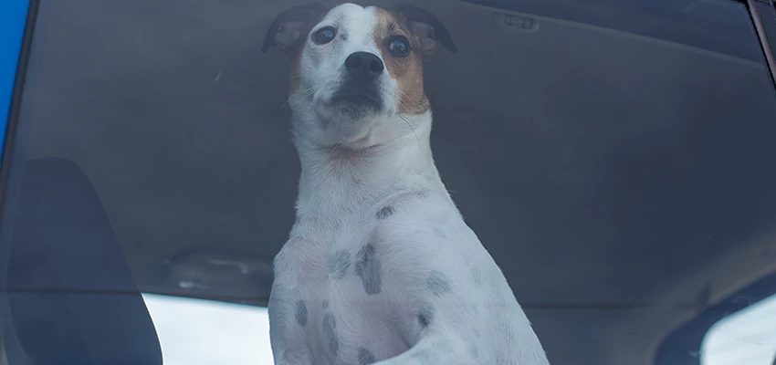 Car Lockout Solutions in Manteca, California